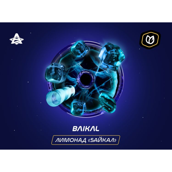 Паста Space Smoke Tobacco Baikal 30 гр в Турции