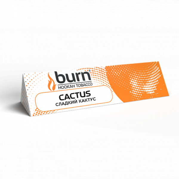 Табак BURN CACTUS 25 грамм в Турции