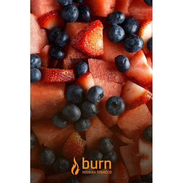 Табак Burn Berried Treasure 100 грамм в Турции