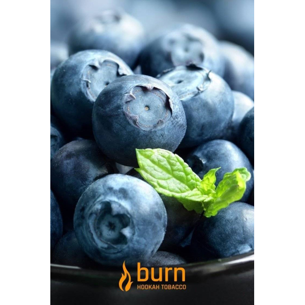 Табак Burn Blueberry Mint 100 грамм в Турции