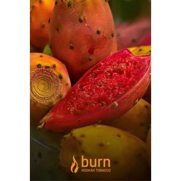 Табак Burn Cactus 100 грамм в Турции
