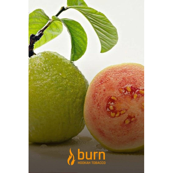 Табак Burn Guava 100 грамм в Турции