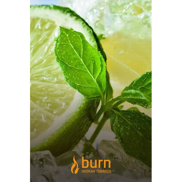 Табак Burn Lemon Mint 100 грамм в Турции