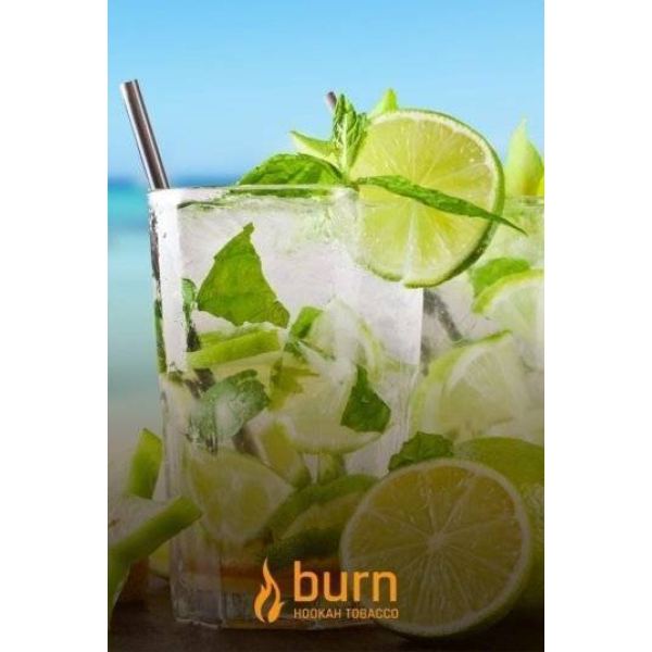 Табак Burn Mojito 100 грамм в Турции