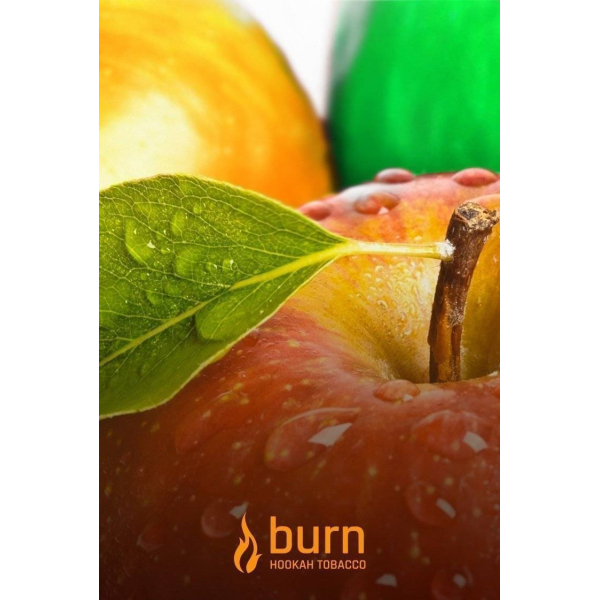 Табак Burn Three Apples 100 грамм в Турции