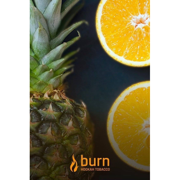 Табак Burn White Night 100 грамм в Турции