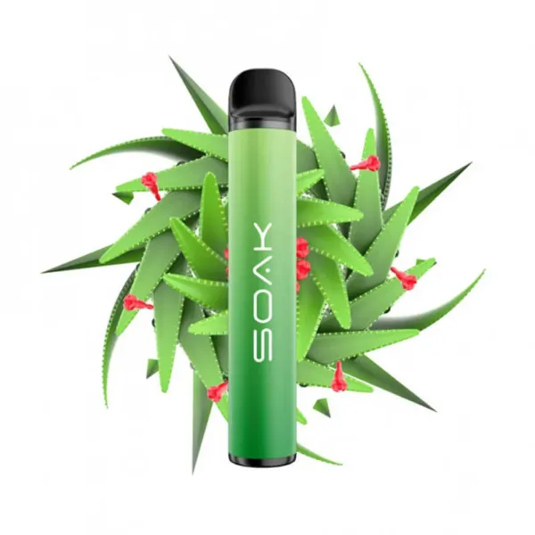 SOAK X Aloe Vera (Алое Вера), 1500 тяг в Турции