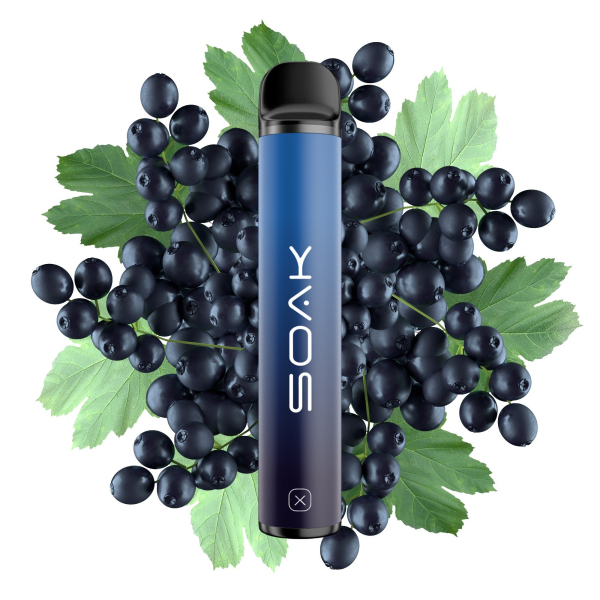 SOAK X Forest Blackcurrant (Лесная черная смородина), 1500 тяг в Турции