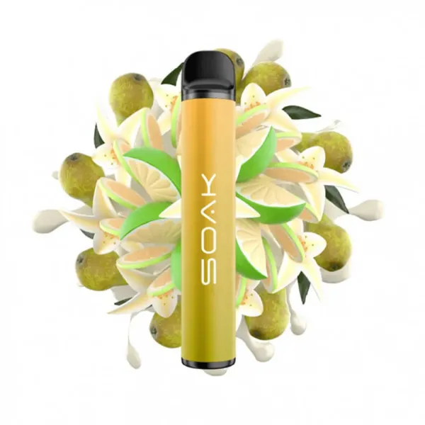 SOAK X Vanilla Pear (Ванильная груша с лаймом), 1500 тяг в Турции