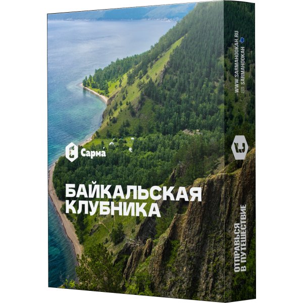 Табак Сарма Байкальская Клубника 25 гр в Турции