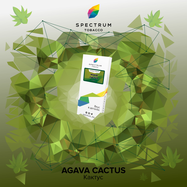 Табак Spectrum Classic Agava Cactus 100 грамм в Турции