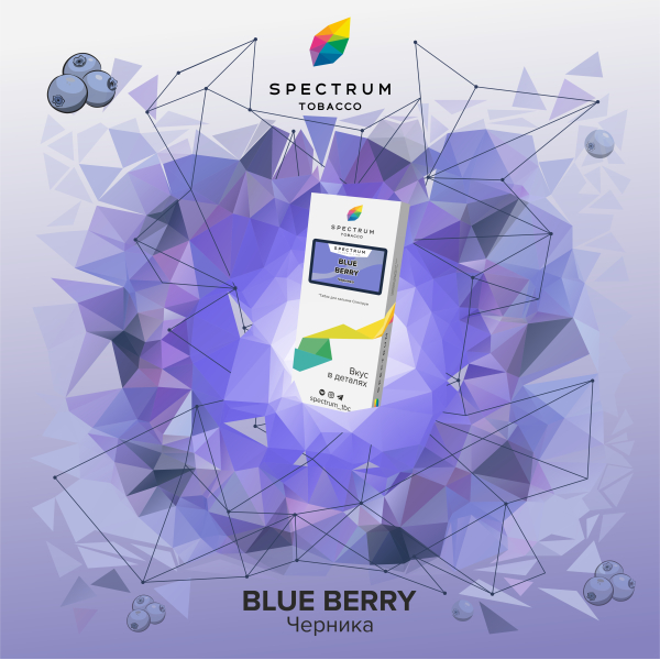 Табак Spectrum Classic Blue Berry 100 грамм в Турции