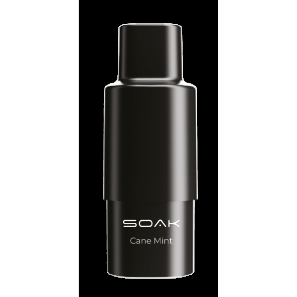 Картридж SOAK Q Тростниковая мята (1500 затяжек) в Турции