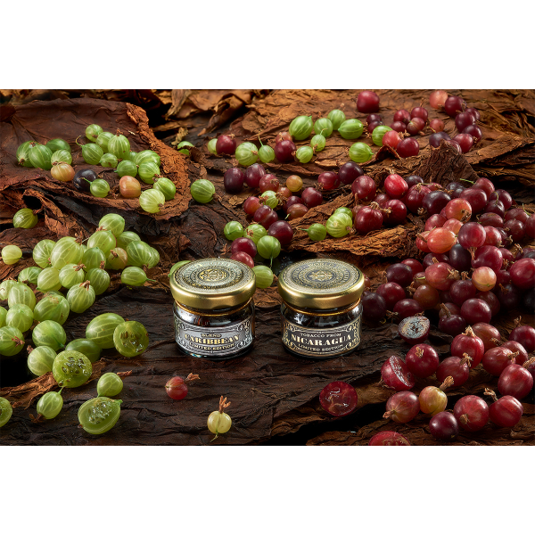 Табак WTO CARIBBEAN BLEND CB15 Крыжовник 20 грамм в Турции